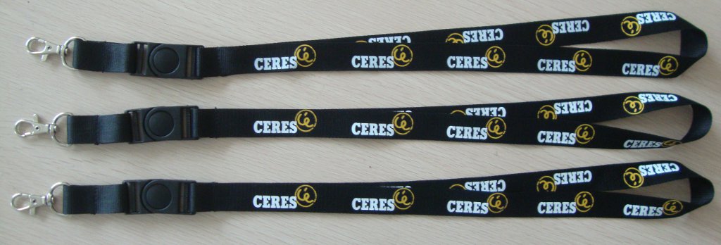 screen printed lanyard