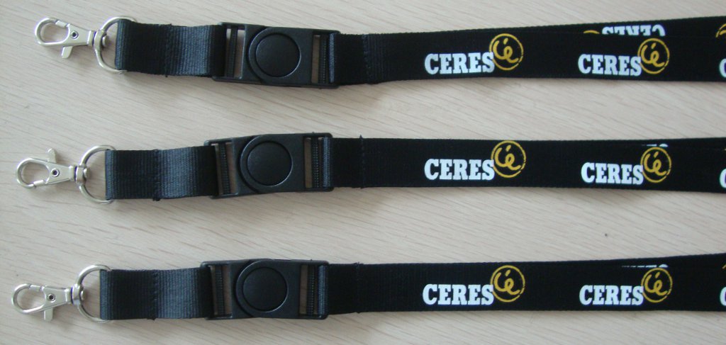 screen printed lanyard